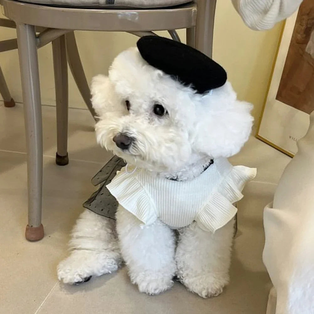Dog Dress for Small Dogs, Luxury Clothes