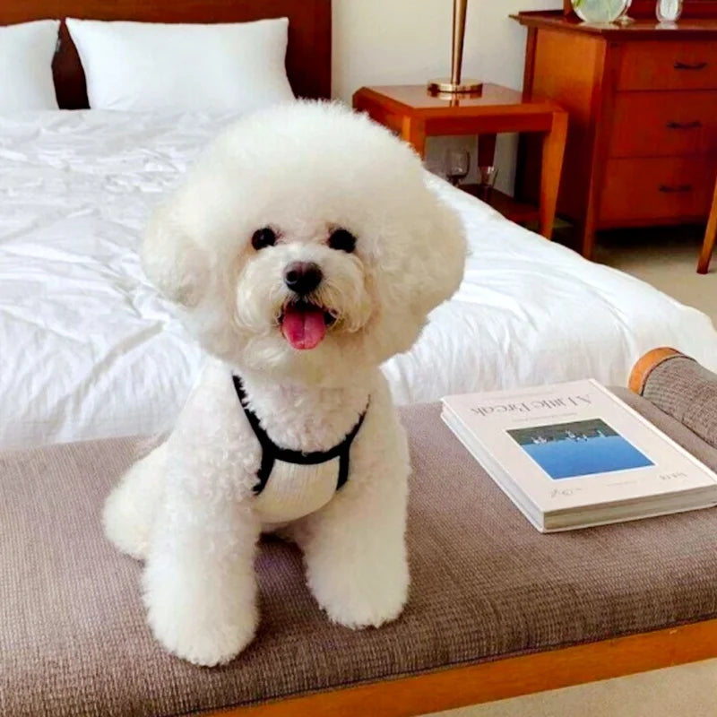 Luxury Dog Clothes Bow Striped Print