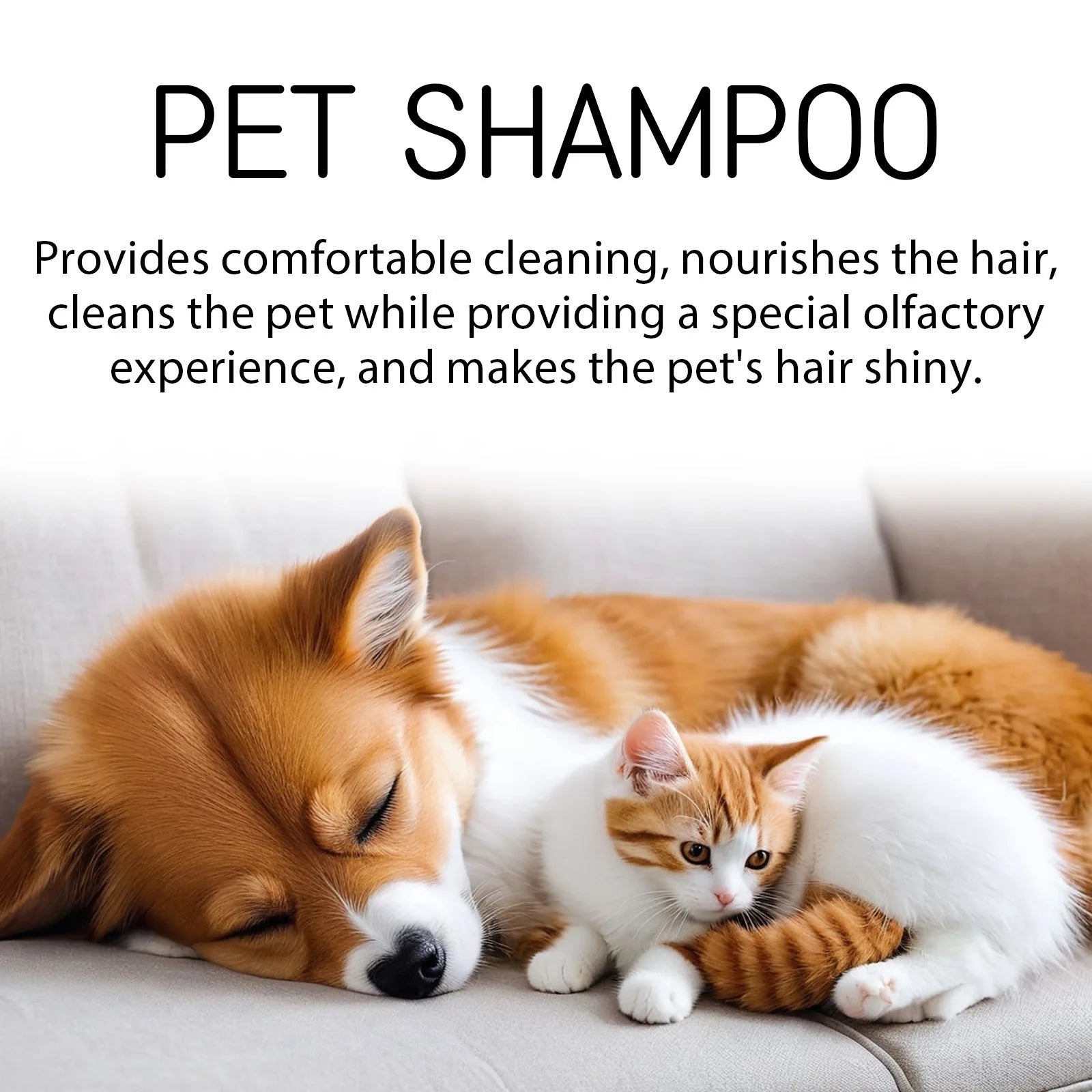 Dog Wash Shampoo