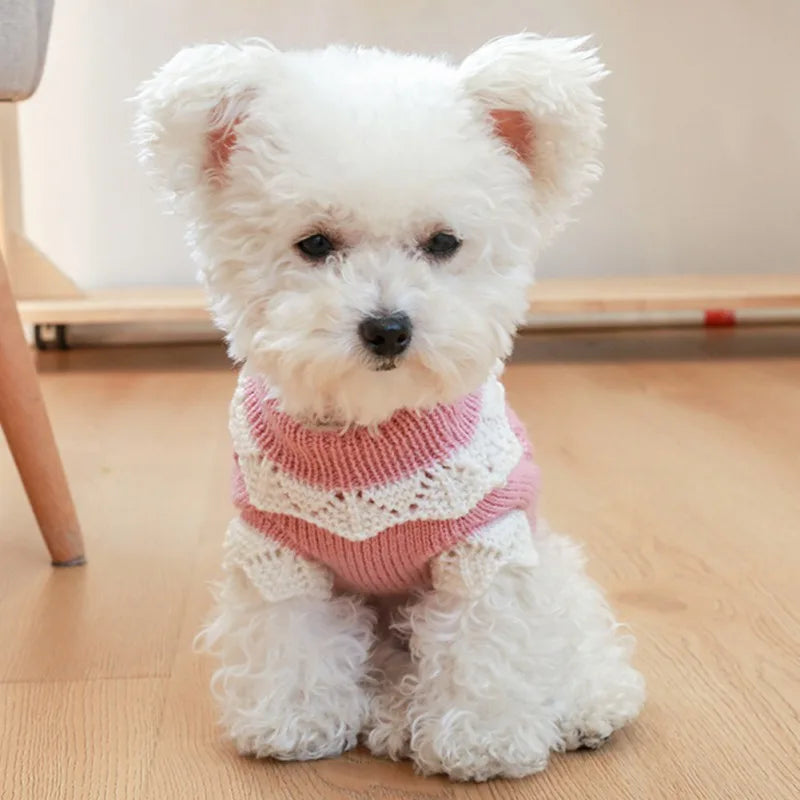 Cute Warm Dog Sweater with Knitted Blossoming Flowers