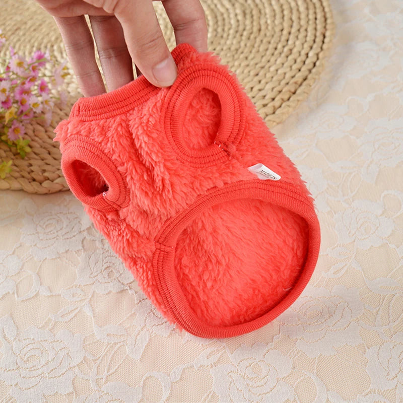 Cute Print small animals Winter Sweater