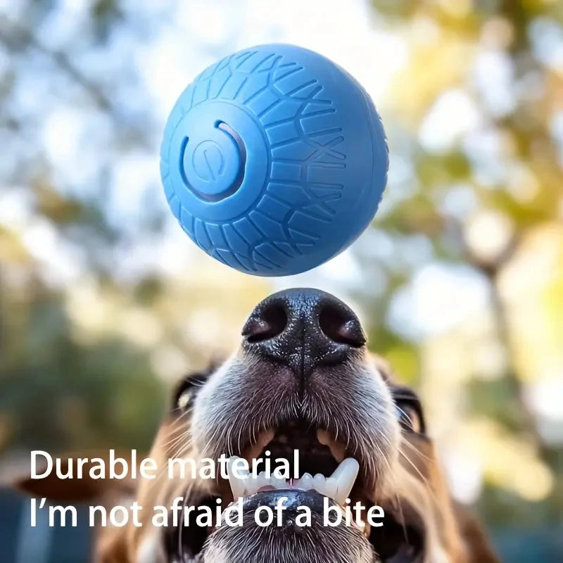 Smart Pet Toy Ball Automatic, Interactive, Rechargeable