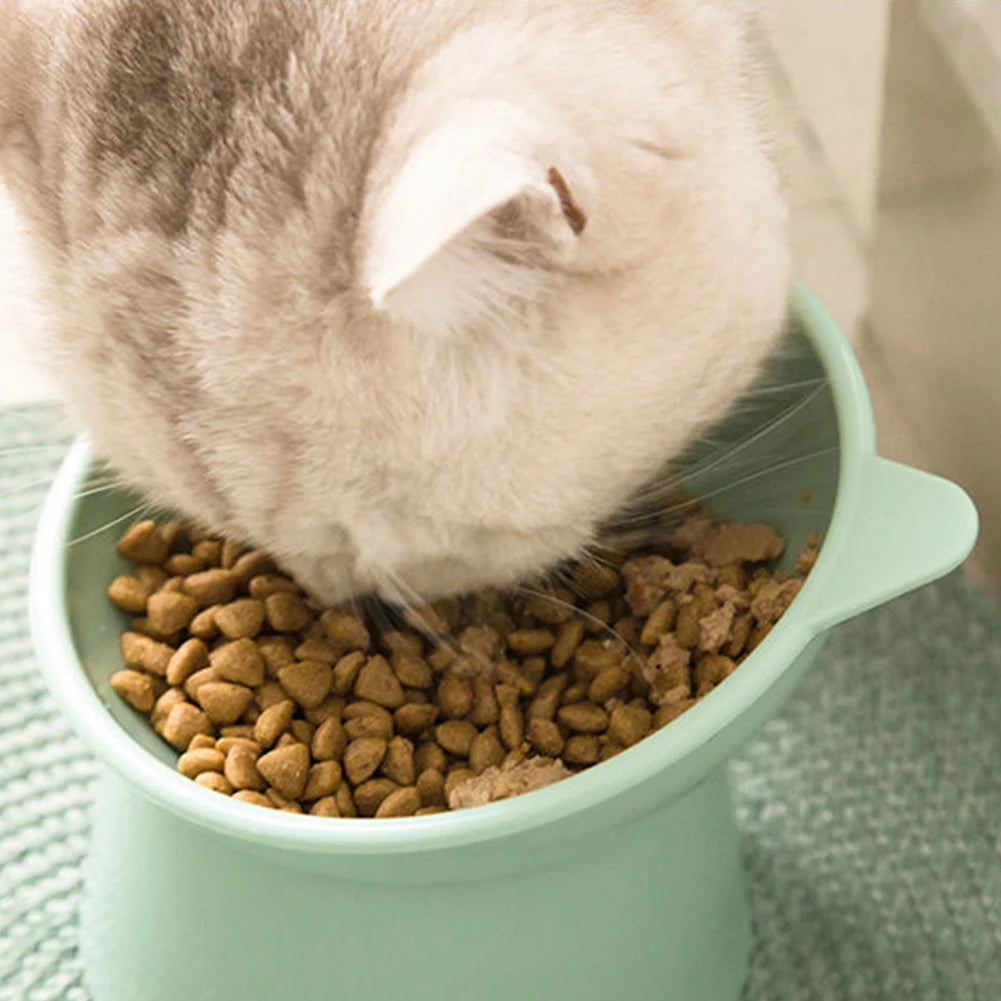 Tilted Cat/Dog Food Bowl