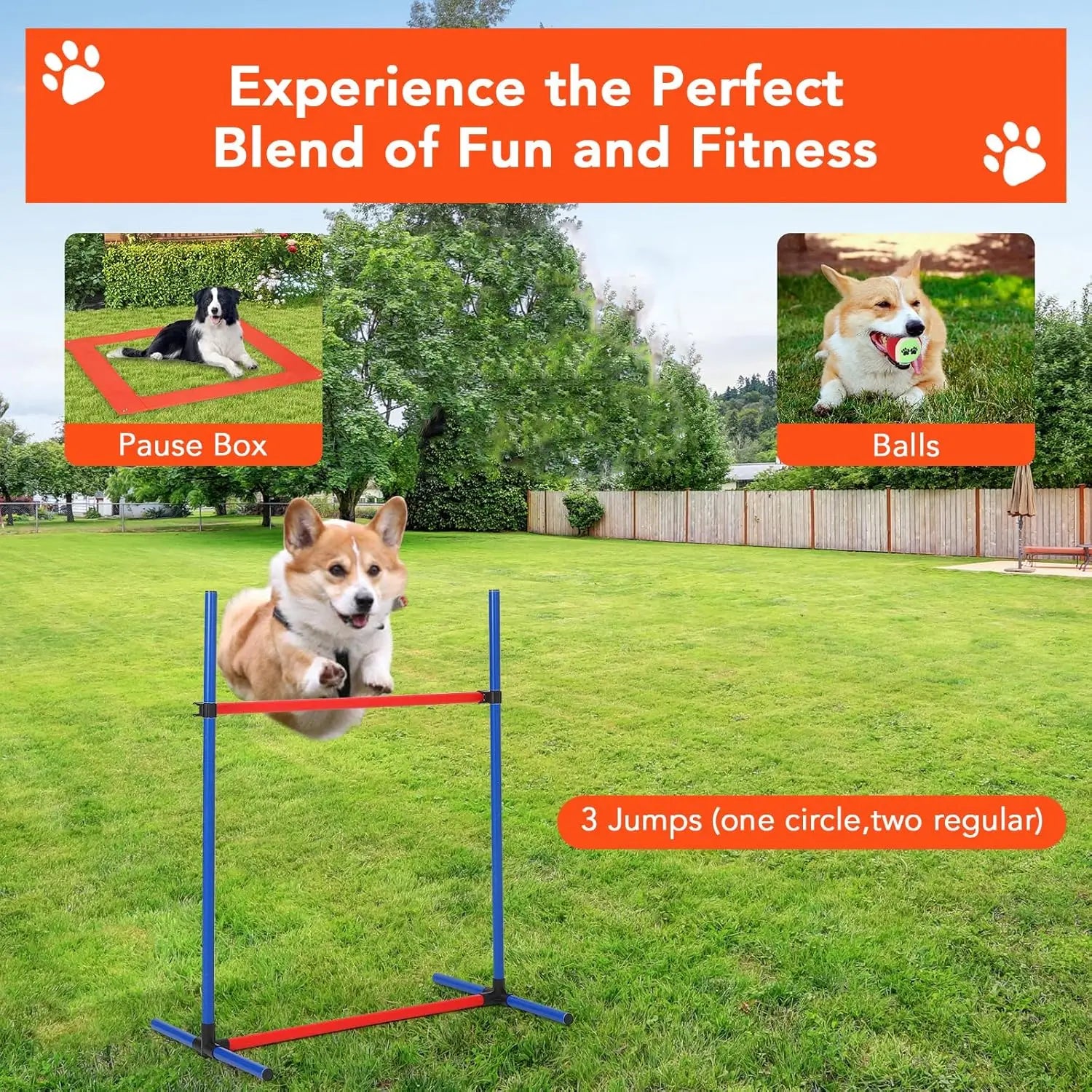 87 Pcs Dog Agile Training Equipment Set