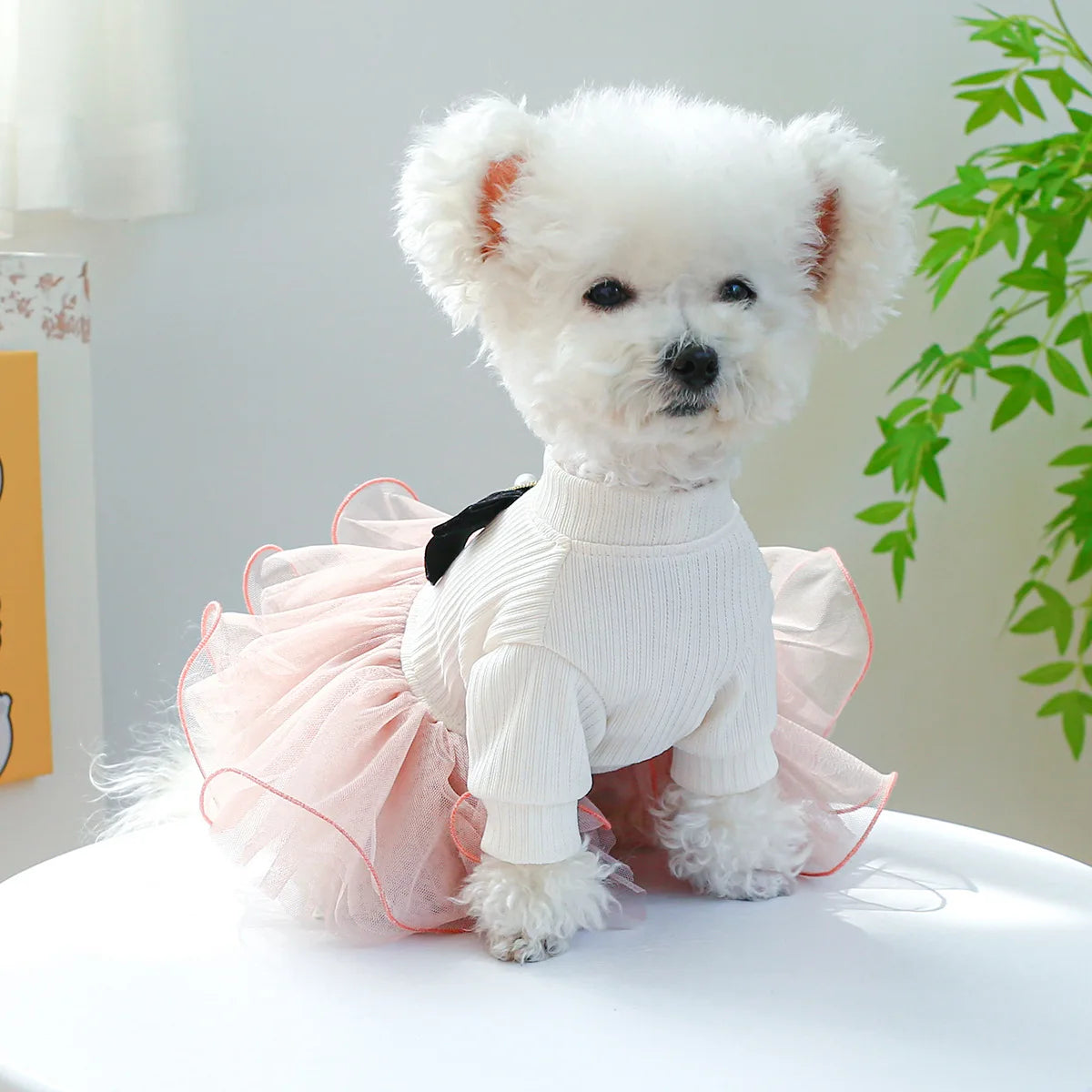 Spring/ Summer Dog  Tutu Princess Dress