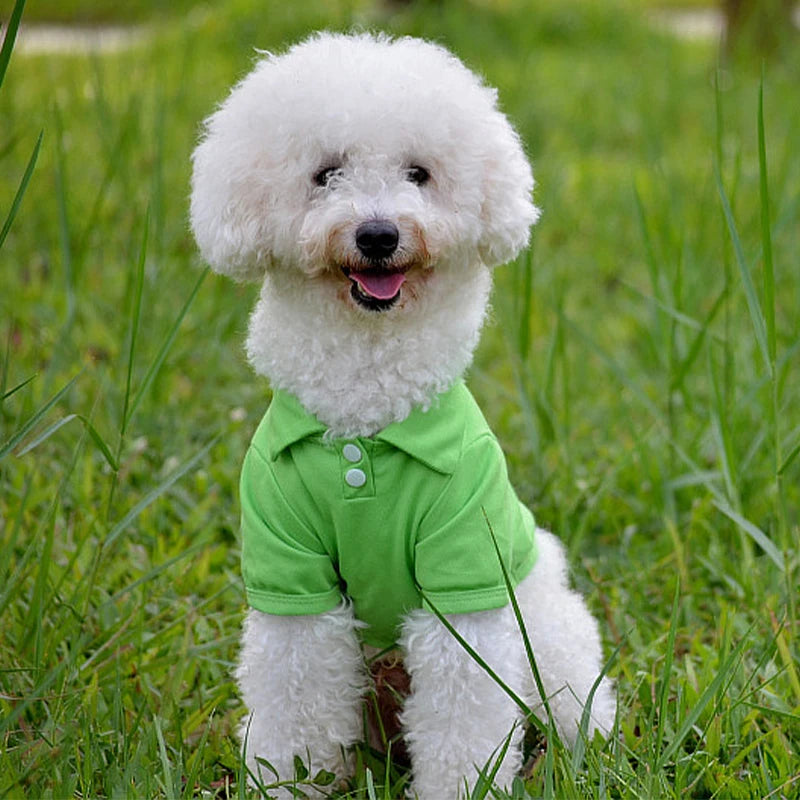 Spring Dog Shirts 6 Candy Colors Vests