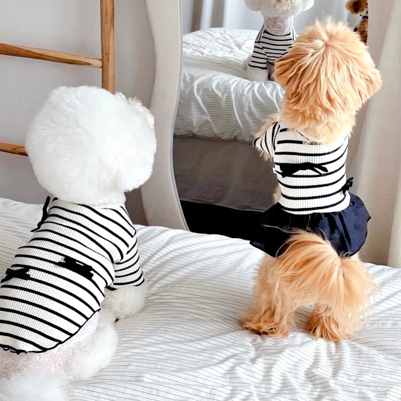 Luxury Dog Clothes Bow Striped Print