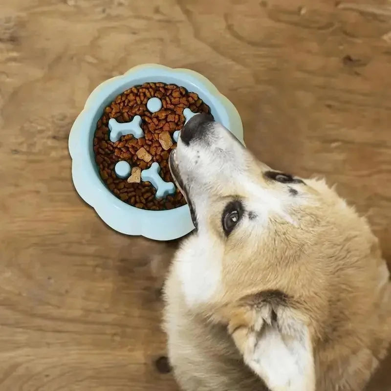 Pet supplies Color Slow Feeder Cat/Dog Bowl