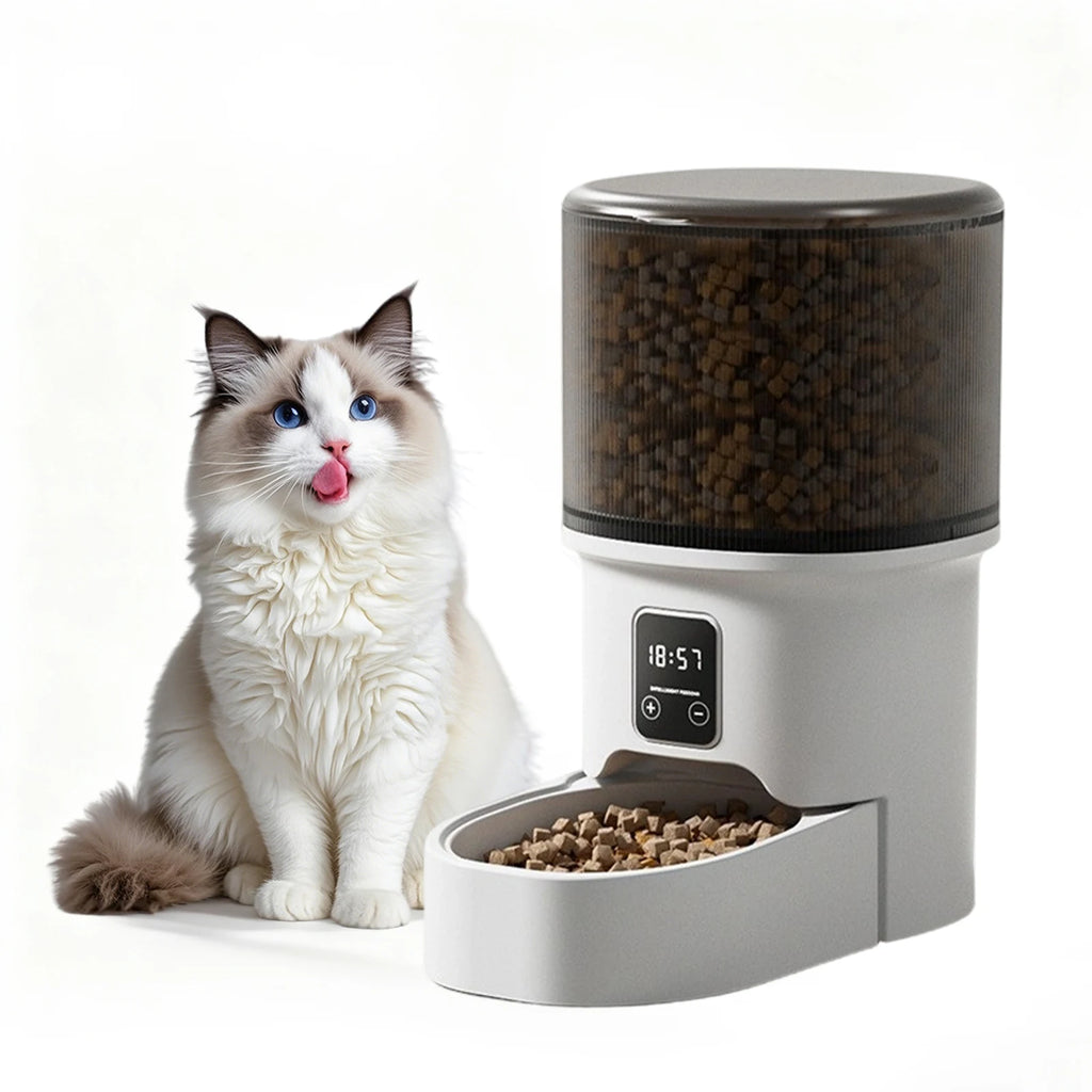 Programmable 4L Automatic Pet Feeder For Small Cats