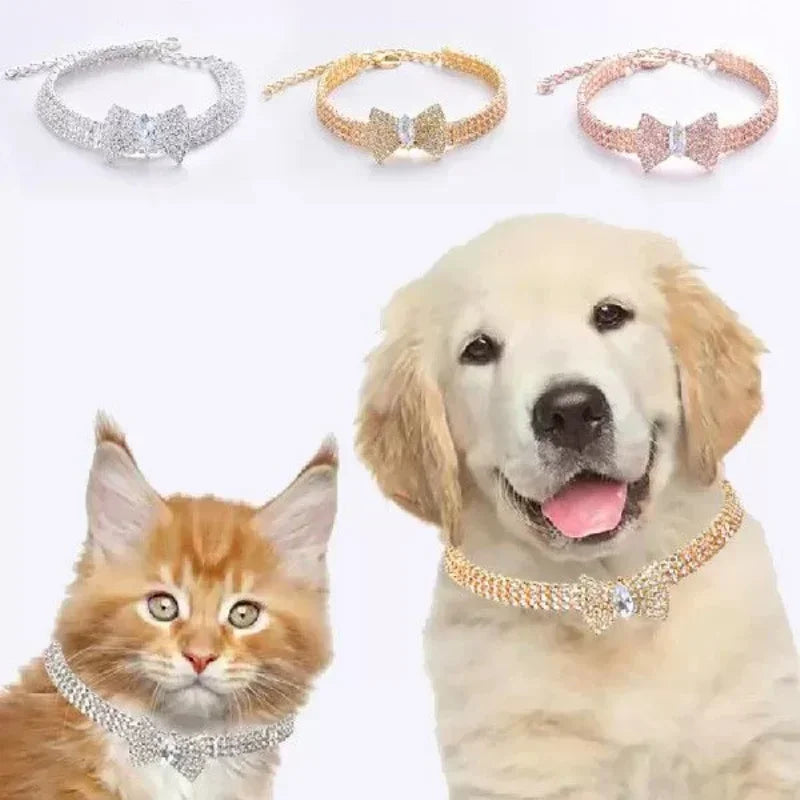 Adjustable Pet Diamond Zircon Collar