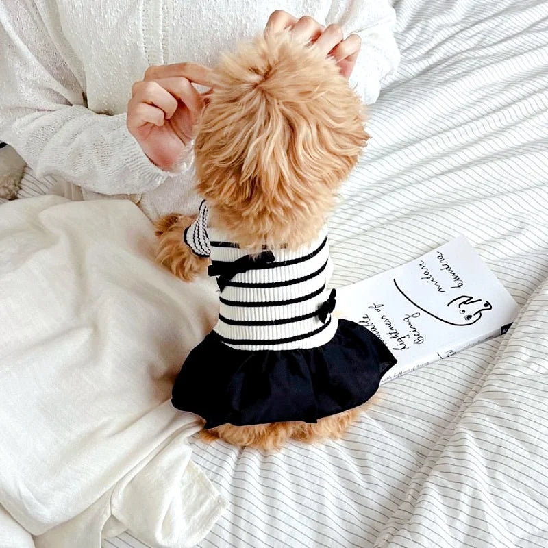 Luxury Dog Clothes Bow Striped Print
