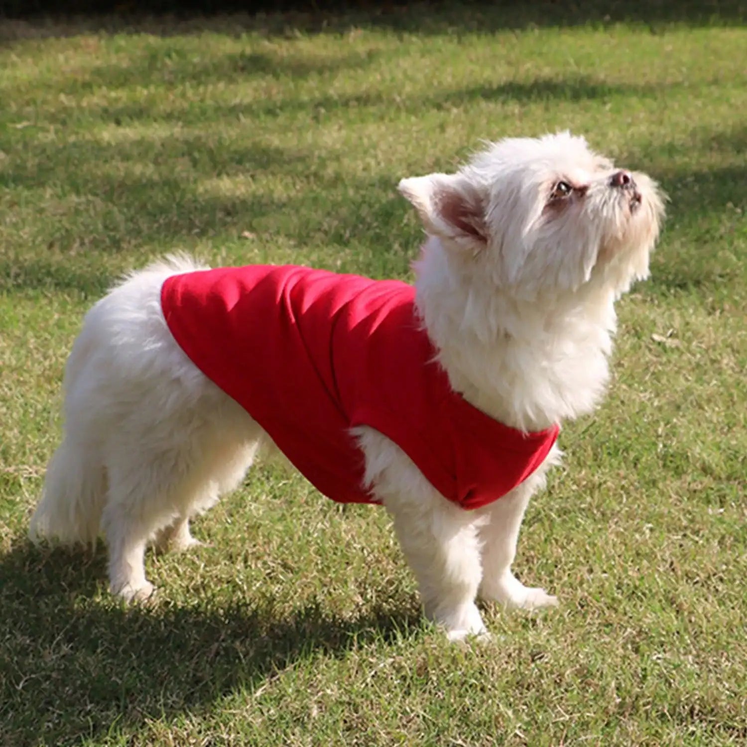 1pcs Pet Clothes for Small/ Medium Dogs