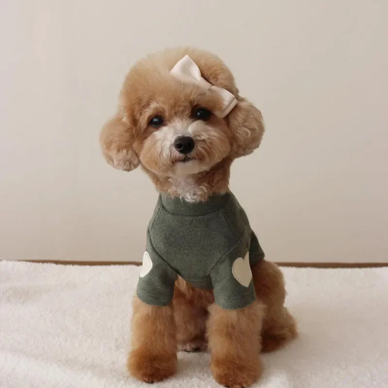 Love Winter Warm Pet Clothes