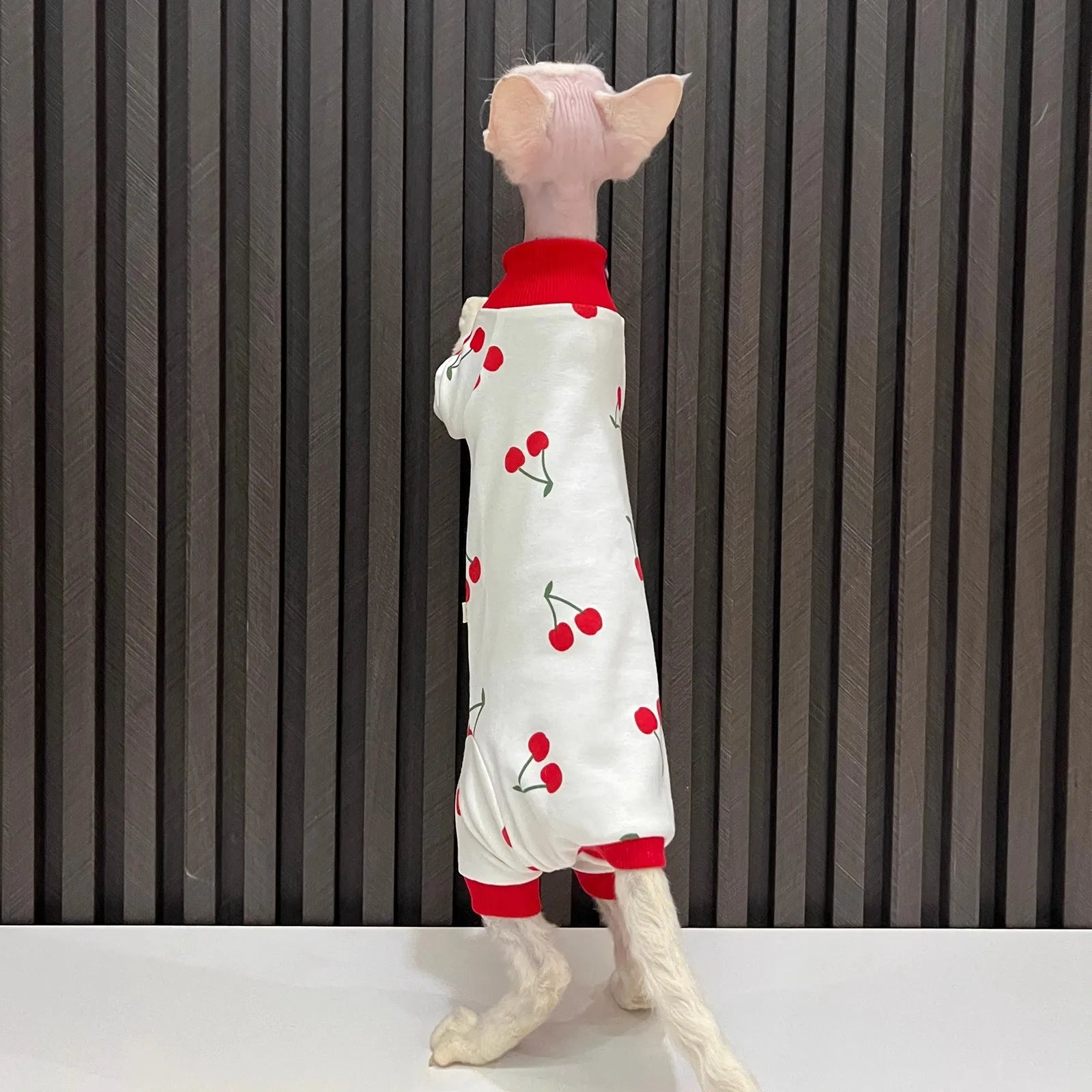 Cartoon Quadruple Cherry Print Hairless Cat Clothes