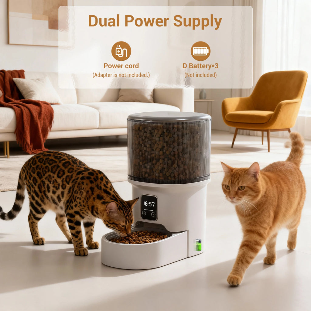 Programmable 4L Automatic Pet Feeder For Small Cats