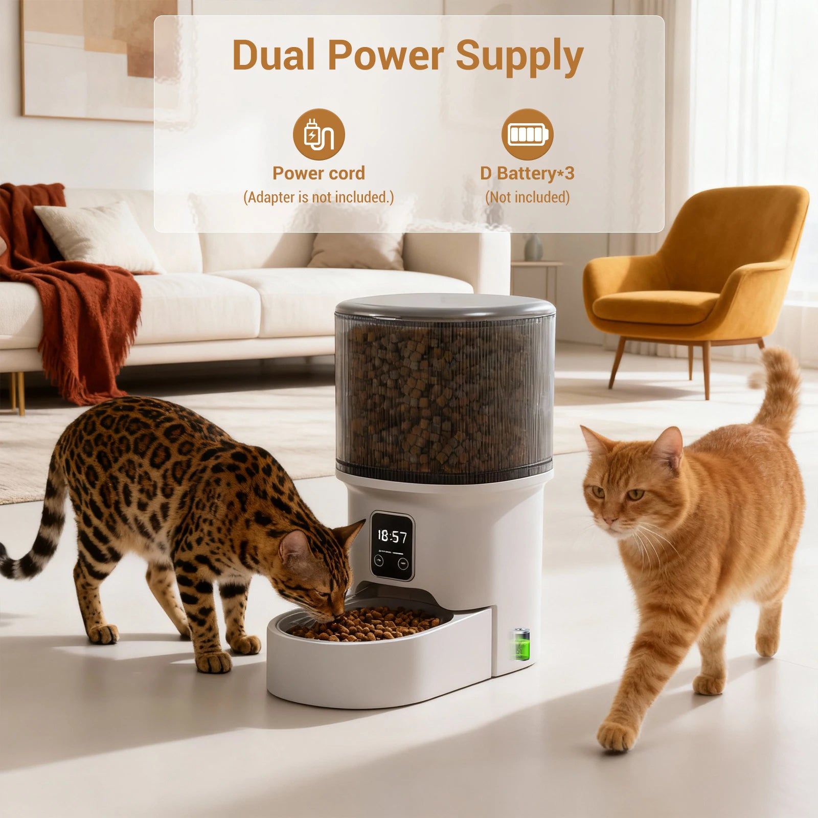 Programmable 4L Automatic Pet Feeder For Small Cats