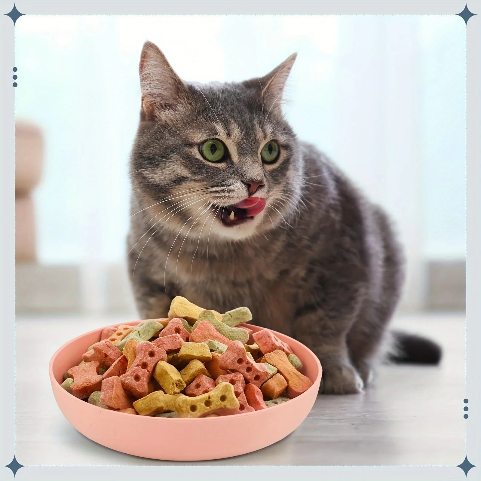 Plastic Non-Slip Feeding Dishes for Kittens/Cats