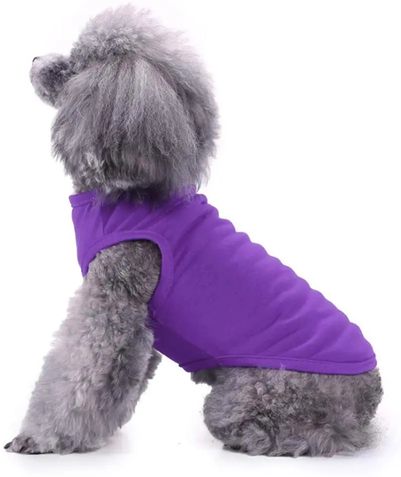 Dog Shirt Clothes, Spring/Summer T- Shirt Apparel