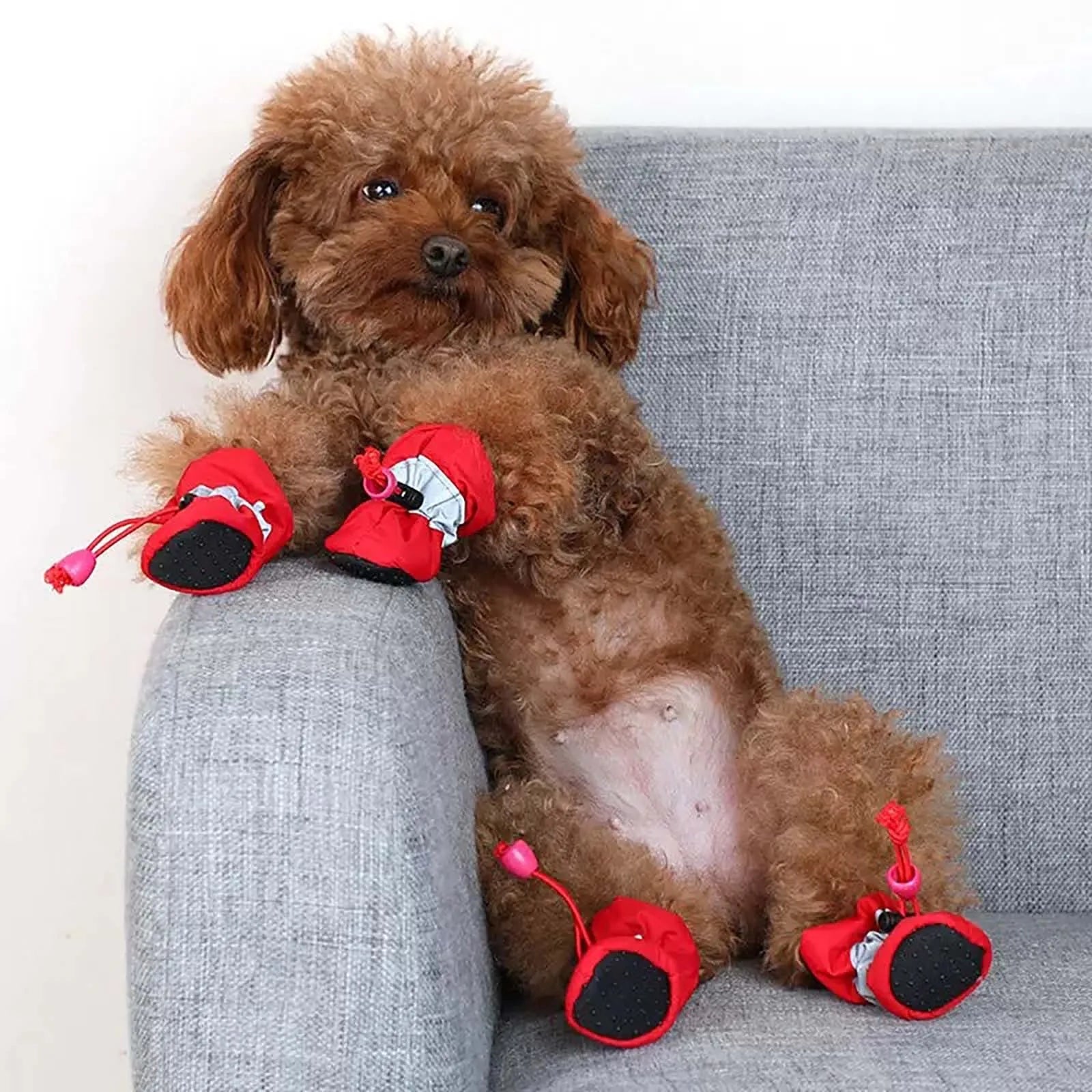 Dog Shoes That Don't Fall Off, Breathable Soft-Soled Shoes, Non-Slip Walking Shoes