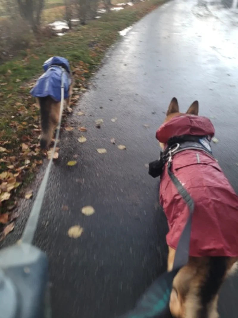 Dog Raincoat Jacket Clothes Reflective Waterproof Rain Poncho Outdoor Rainwear Costume Pet Supplies Artículos Para Mascotas