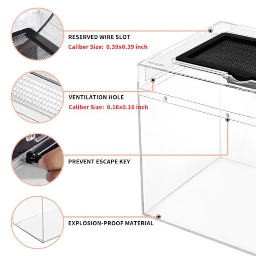 Mini Reptile Terrarium Set 12 x 7 x 6 Low Profile Reptile Tank with Full View Design for Insects Fish Tarantulas Hermit Crabs J