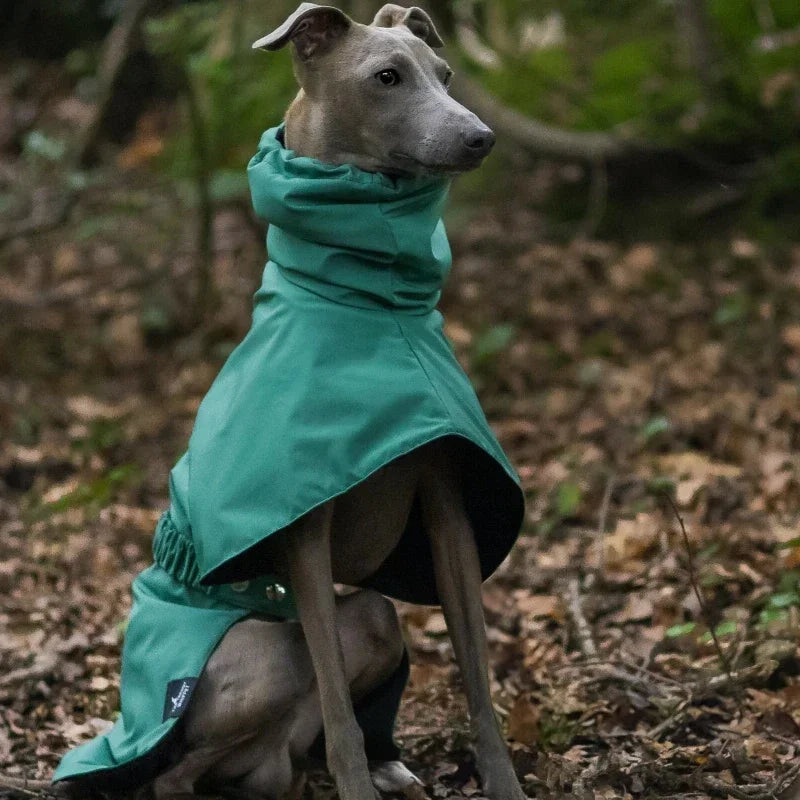 Waterproof Dog Raincoat, Luxury Whippet Greyhound Dog Raincoats Jacket Doberman Pinscher Raincoat Outdoor Walking