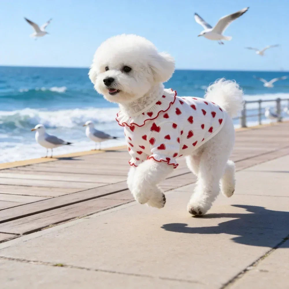 Clothes for Small Dogs/Cats Ruffle Collar