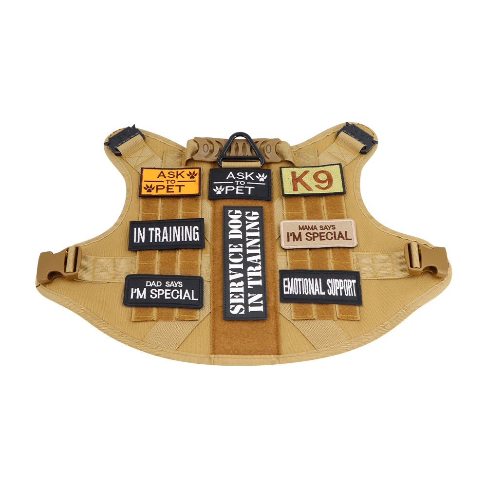 12 Pieces Tactical Patch Bundle