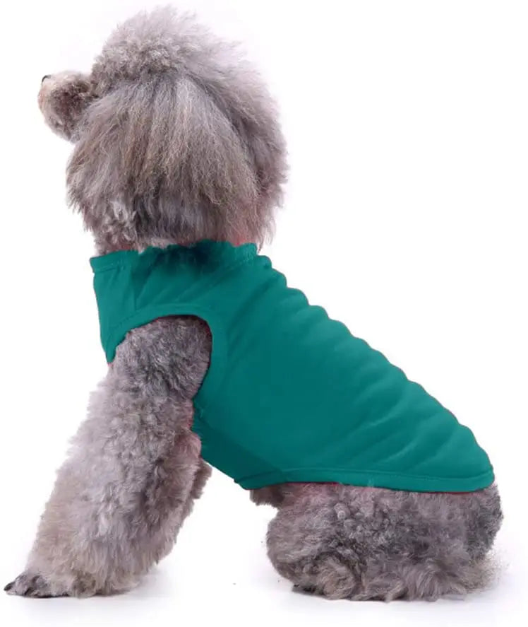 Dog Shirt Clothes, Spring/Summer T- Shirt Apparel