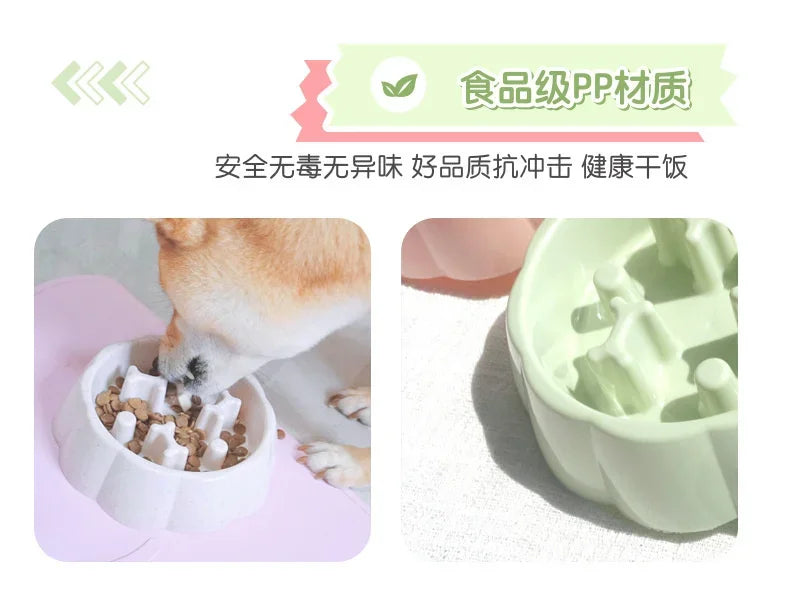 Pet supplies Color Slow Feeder Cat/Dog Bowl