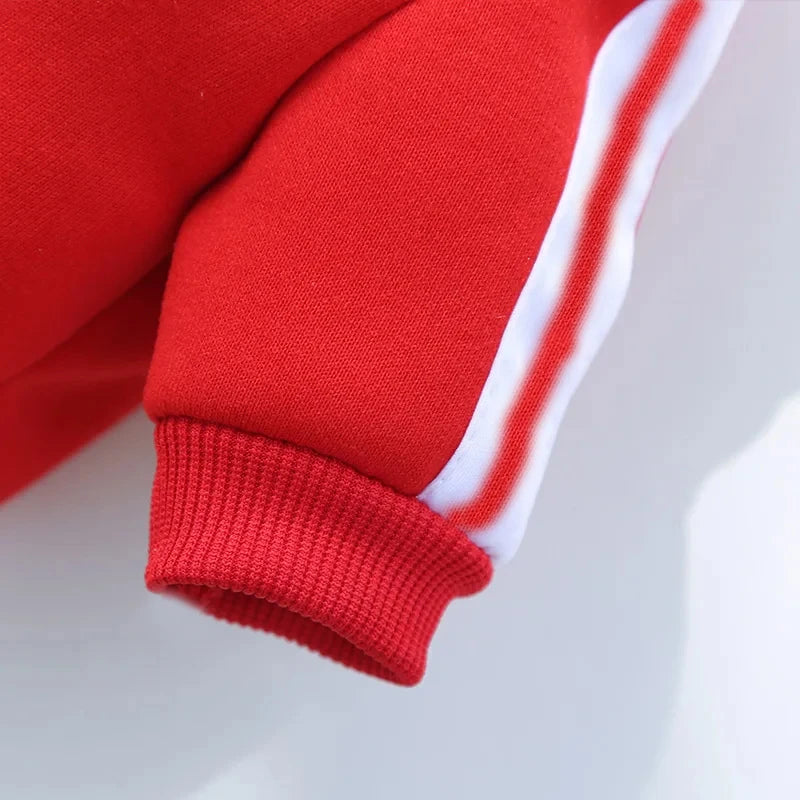 Small, Medium, Large Pets Jacket Clothing