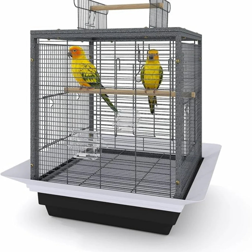 Luxury Metal Breeding Bird Villa
