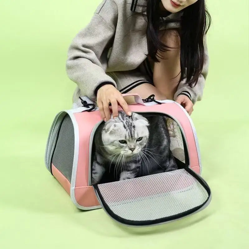 Pet Outing Portable Cat/ Dogs Handbag Summer Breathable Carrier Travel Puppy/ Kitten Single Shoulder Bag Pet Carrying Bag Supplie
