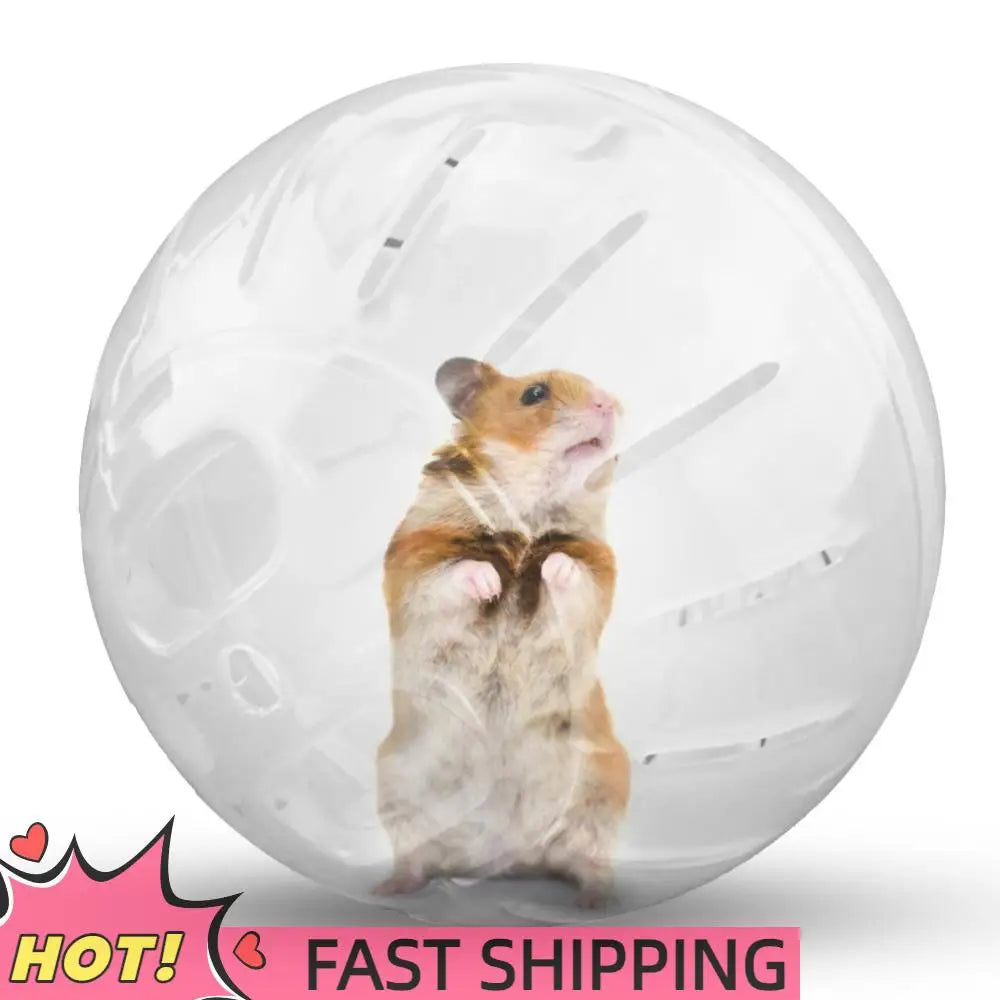 Mini Portable Pet Jogging Ball