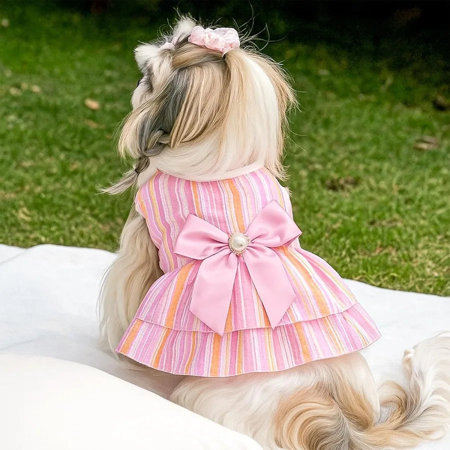 2 Pieces Small Dog Dress, Cute Bowknot