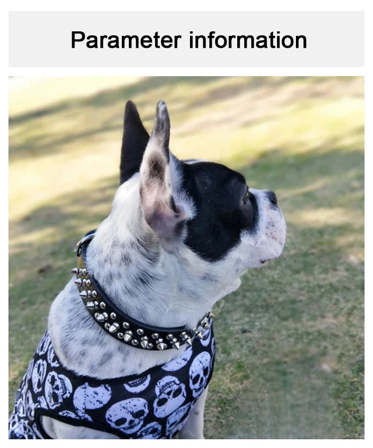 Adjustable Leather Dog Collar For Small Pets