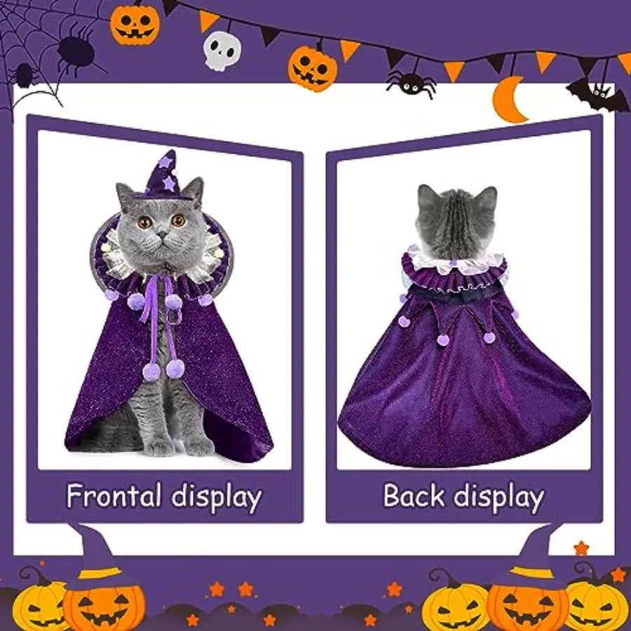 Pet Halloween Costume with Hat