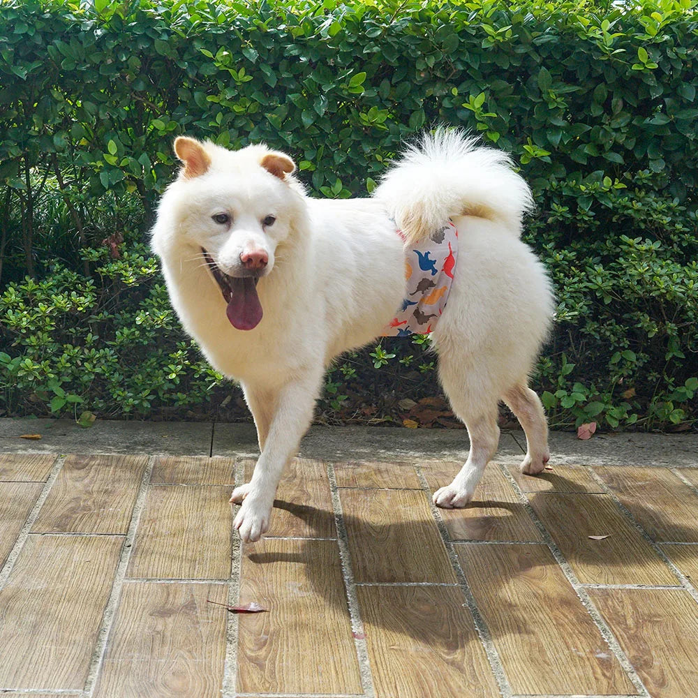 1pc Durable Washable Male Dog Diaper Wraps