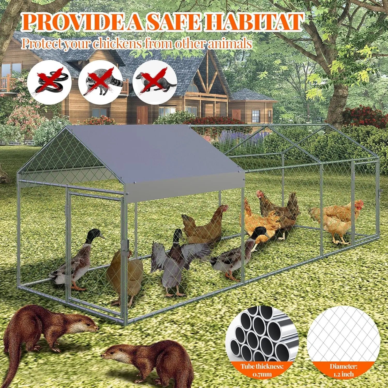 Poultry Metal Cages For Small Animals