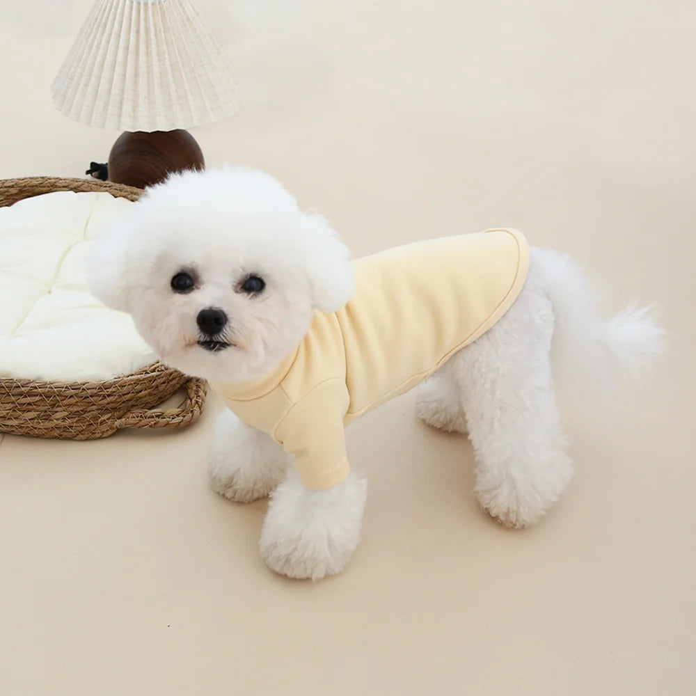 Autumn and Winter Pet Solid Color Warm Hoodie