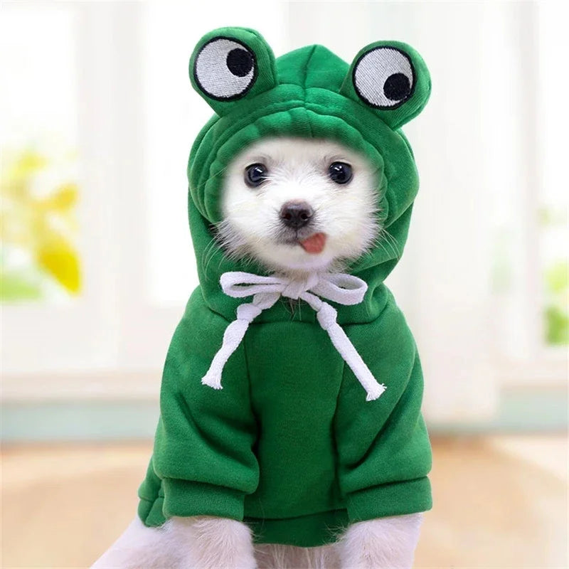 Cute Fruit Dog Clothes for Dogs/Cats