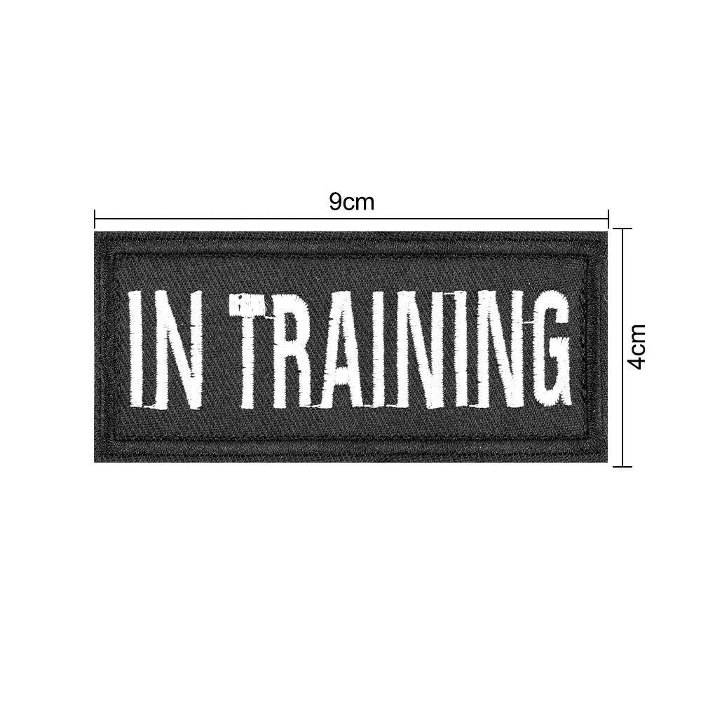 12 Pieces Tactical Patch Bundle