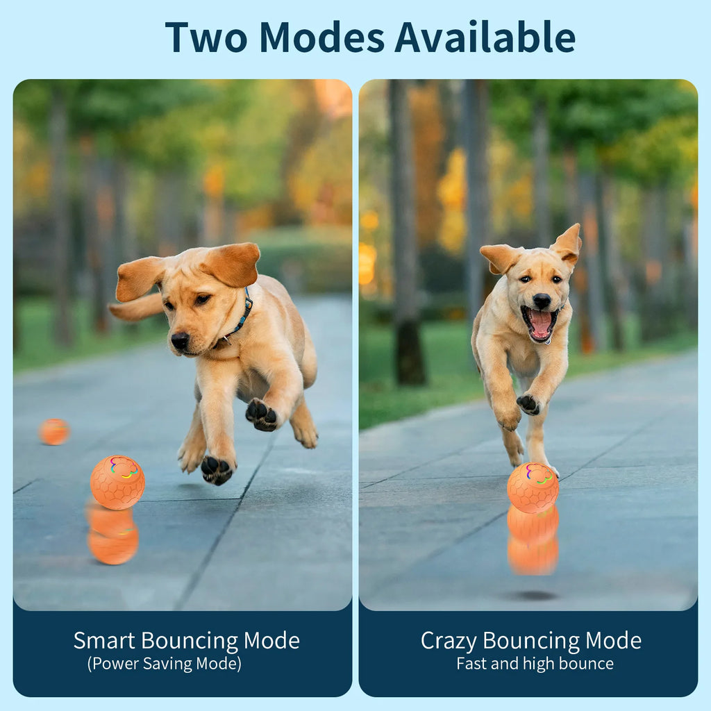 Smart Electronic Interactive Pet Toy Ball