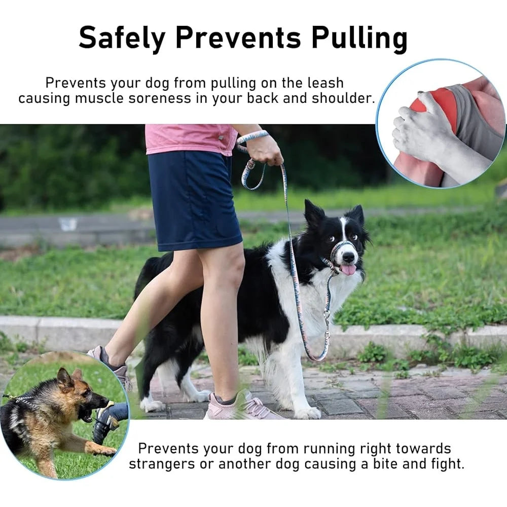 Training Tool for Dog. Head Collar, Anti-Pulling Halter with Leash