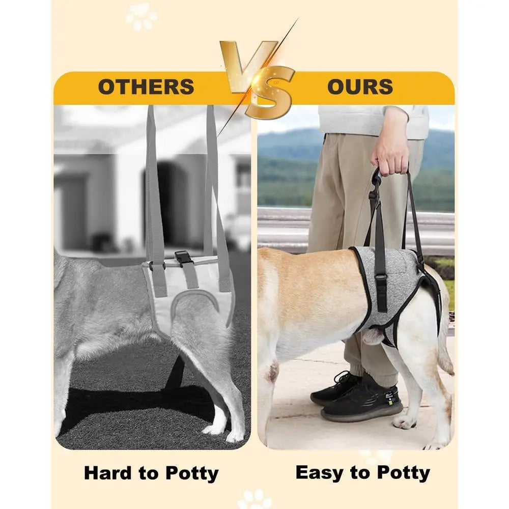 Adjustable Padded Harness for Elderly Dog