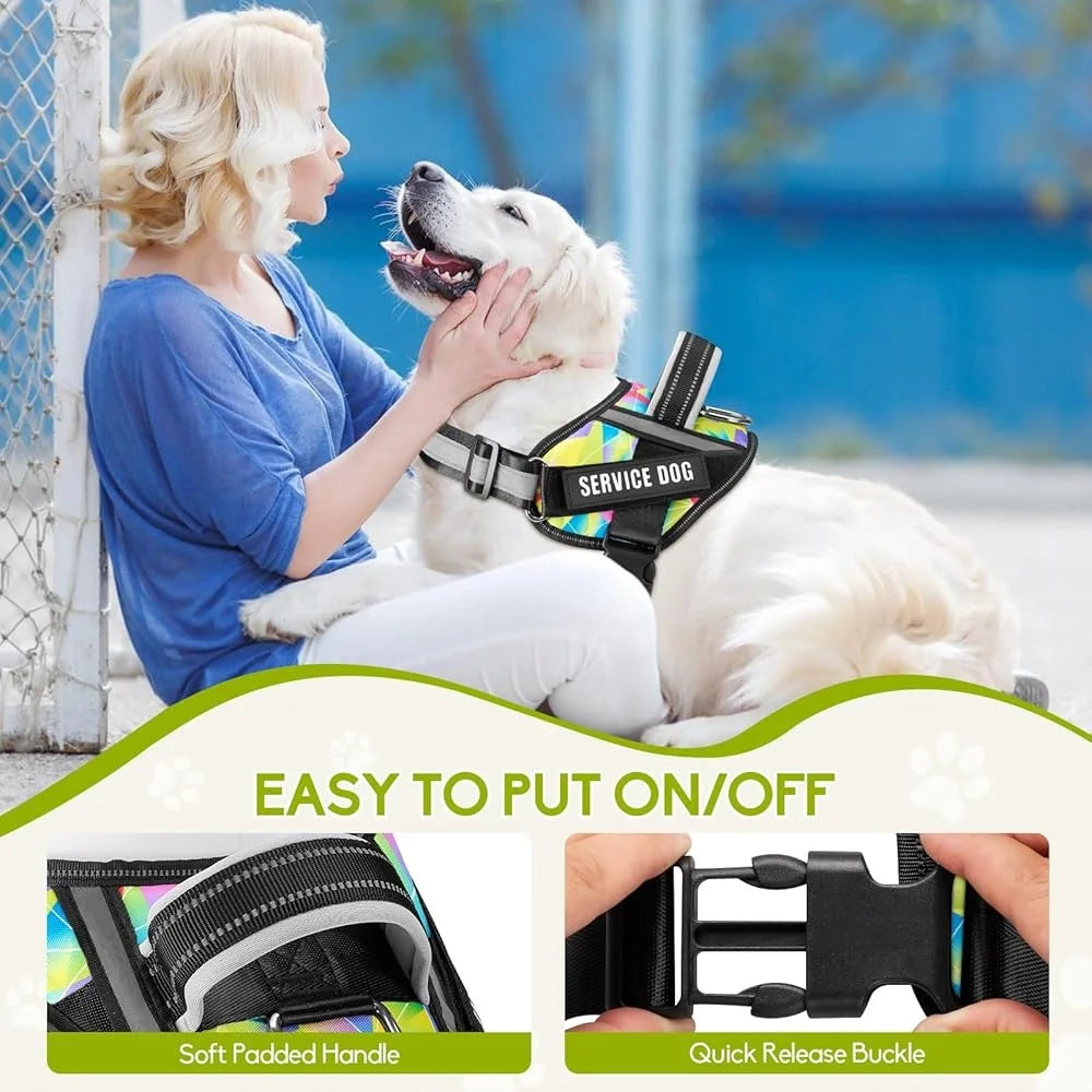 Service Dog Harness with Leash  10 Patches Multi Color Training Vest