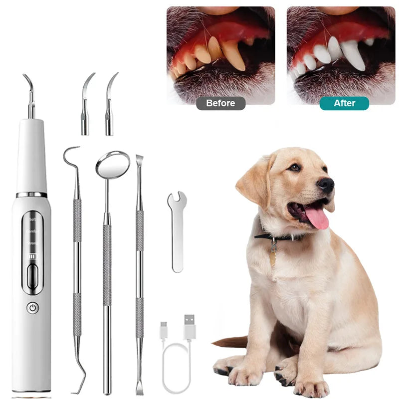 Dog Tooth Calculus Device Ultrasonic Toothbrush