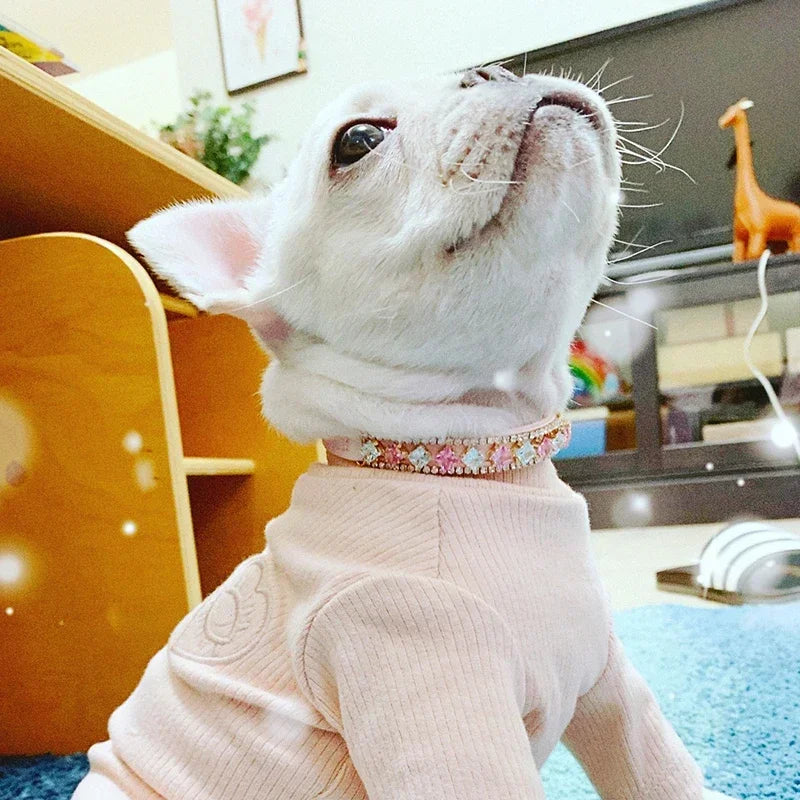 Luxury Dog/Cat Necklaces, Collars For Small Dogs/Cats, Pet Accessories