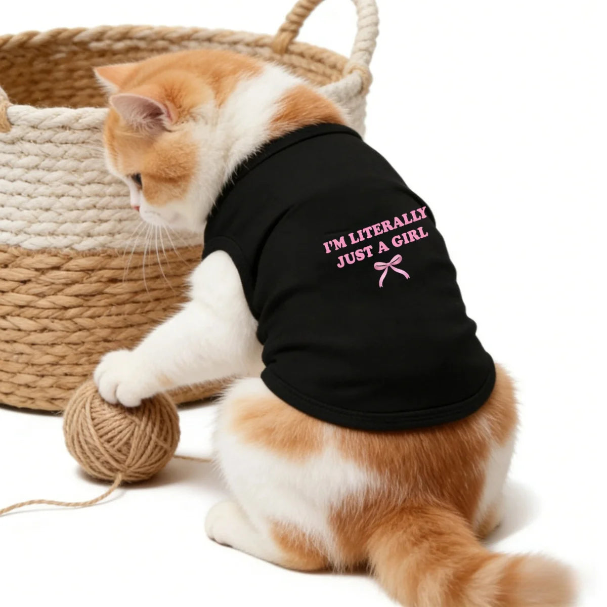 1pc Spring New Minimalist Letter Printed Pet Vest