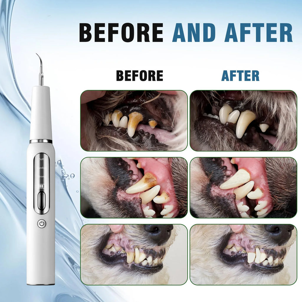 Dog Tooth Calculus Device Ultrasonic Toothbrush
